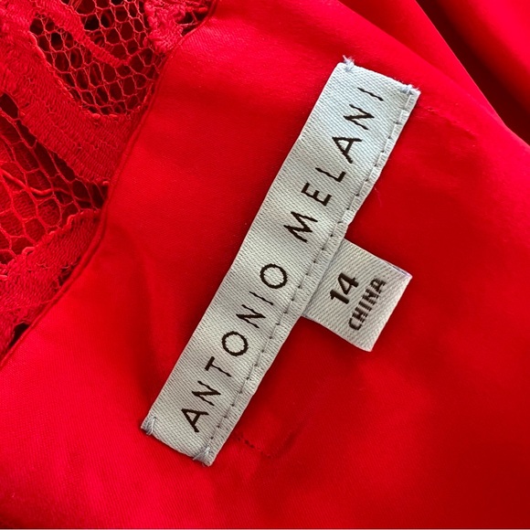 Antonio Melani Lace Midi Dress Womens 14 Red Floral Half Sleeve - Picture 6 of 12